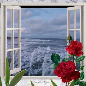 Meet your Posher, Caryn